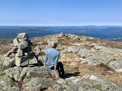 Moldhesten