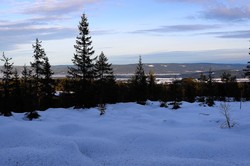 Ellingskjølen