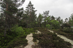 Storås