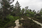 Storås