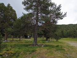 Kvannbekkmyre