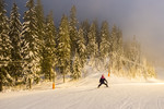 Skomakerhaugen