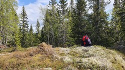 Langvassbrenna Østre