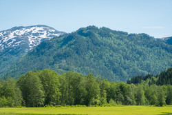 Tverråaksla