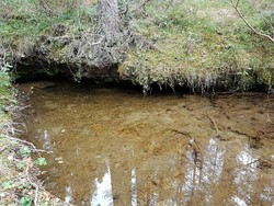 Krona Naturreservat