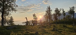 Rishågen