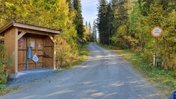 Vadsetvegen bom