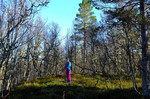 Langåsen