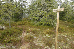 Gutåsen