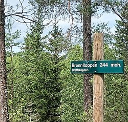 Brennifjellet