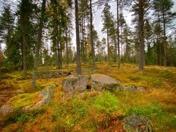 Merramyrhøgda