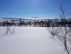 Gräslidfjället