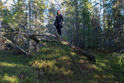 Smalberget trig.pkt