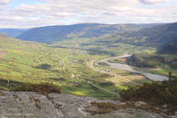 Skutelen