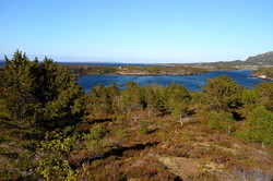 Snaufetta
