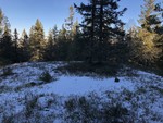 Stubbdalskampen