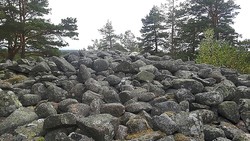 Botneveten