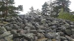 Botneveten
