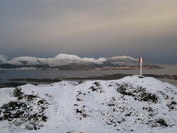 Høgåsen på Dimna