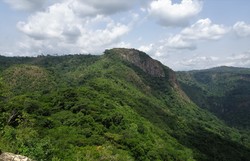Aduado