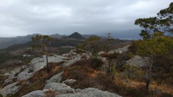 Kongshaug SØ