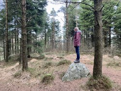 Helgalandsnuten