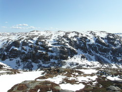 Oreheia