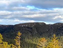 Tjærravassheia