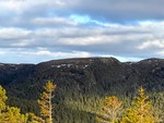 Tjærravassheia