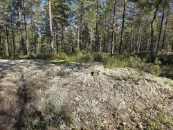 Geitberga