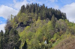 Kletten
