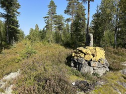 Riksrøys 65A