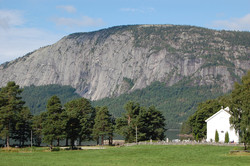 Vikefjell