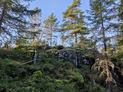 Barlinddalshøgda