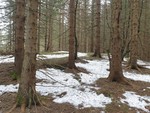 Merrahaugen
