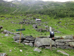 Laugi