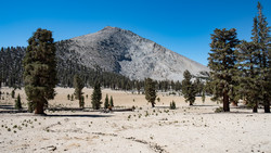 Mount Guyot