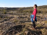 Sagkøllen