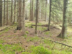 St. Hansberget