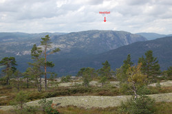 Vestlifjell