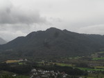 Bukkenibba