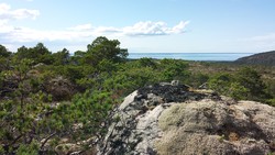 Lauvåsen