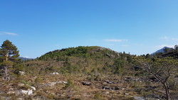 Nekstadbjerget