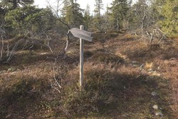Brennsæteråsen