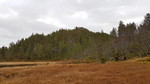 Svarttjønna topp øst