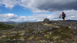 Veslehøa