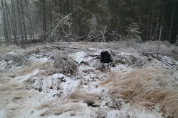 Nordsetberget