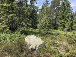 Pikstein Sørvest