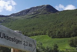 Bergsfjellet øst - sti fra øst