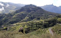 Morro del Armonía